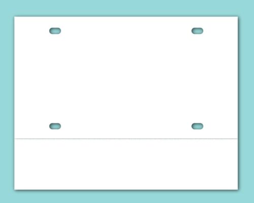 Teslin Temporary License Plate Paper Single Perf