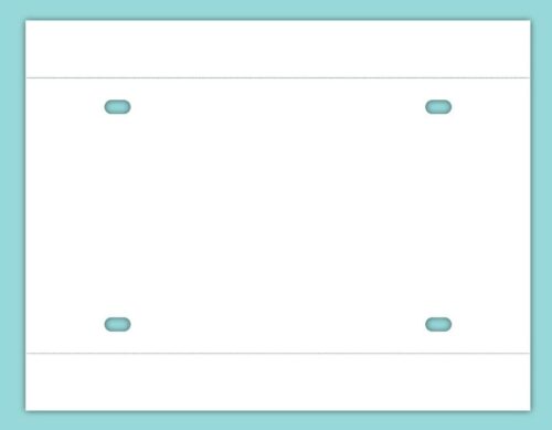 Teslin Temporary License Plate Paper Dual Perf